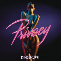 Chris Brown - Privacy (instrumental)