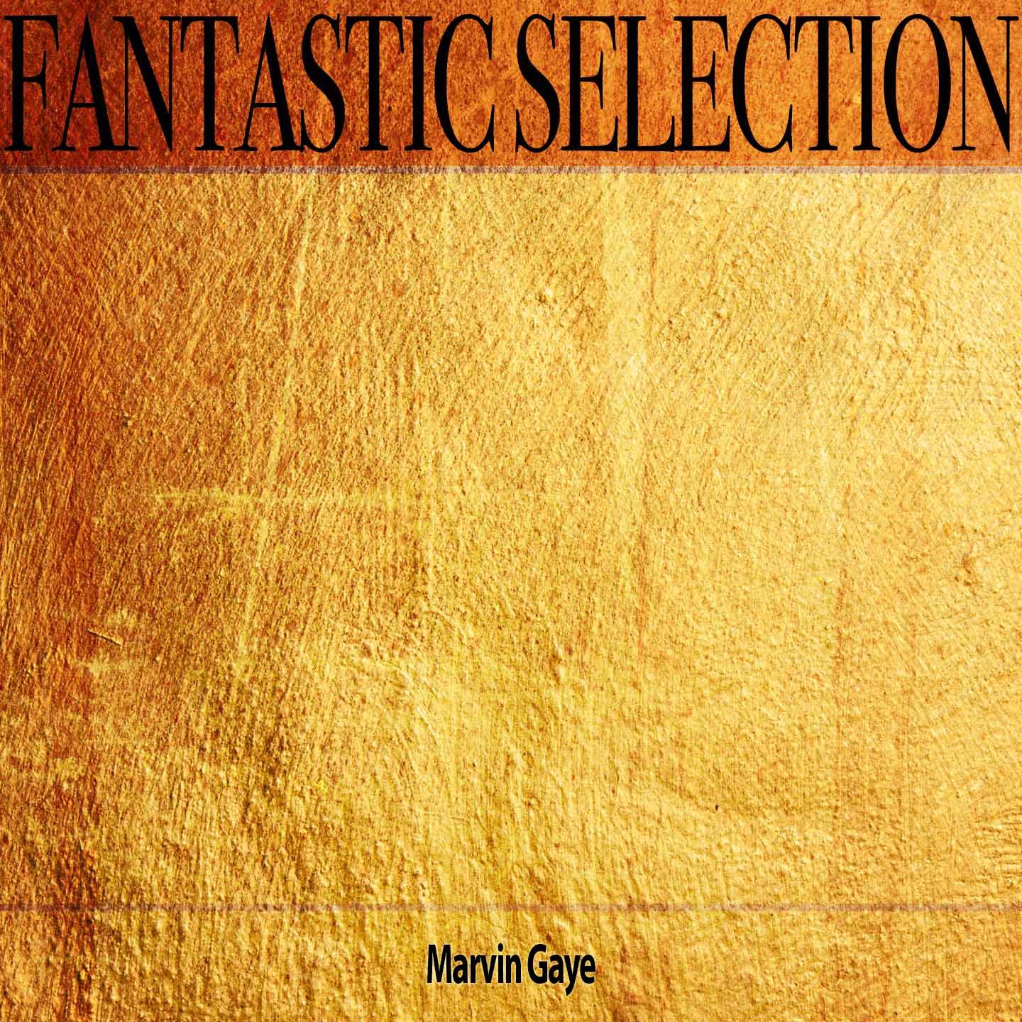 Fantastic Selection专辑