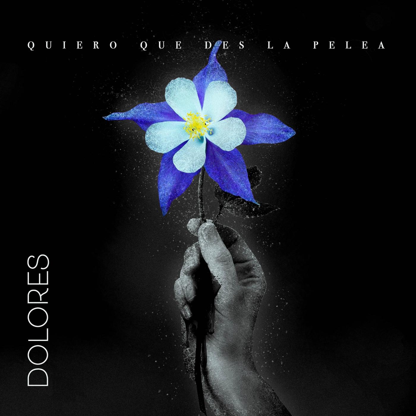 Quiero Que Des la Pelea
