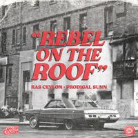 Rebel on the Roof