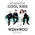  Cool Kids (Win & Woo Remix)