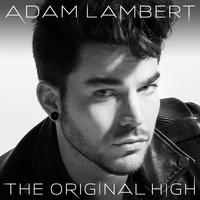 [有和声原版伴奏] Another Lonely Night - Adam Lambert (karaoke Version)