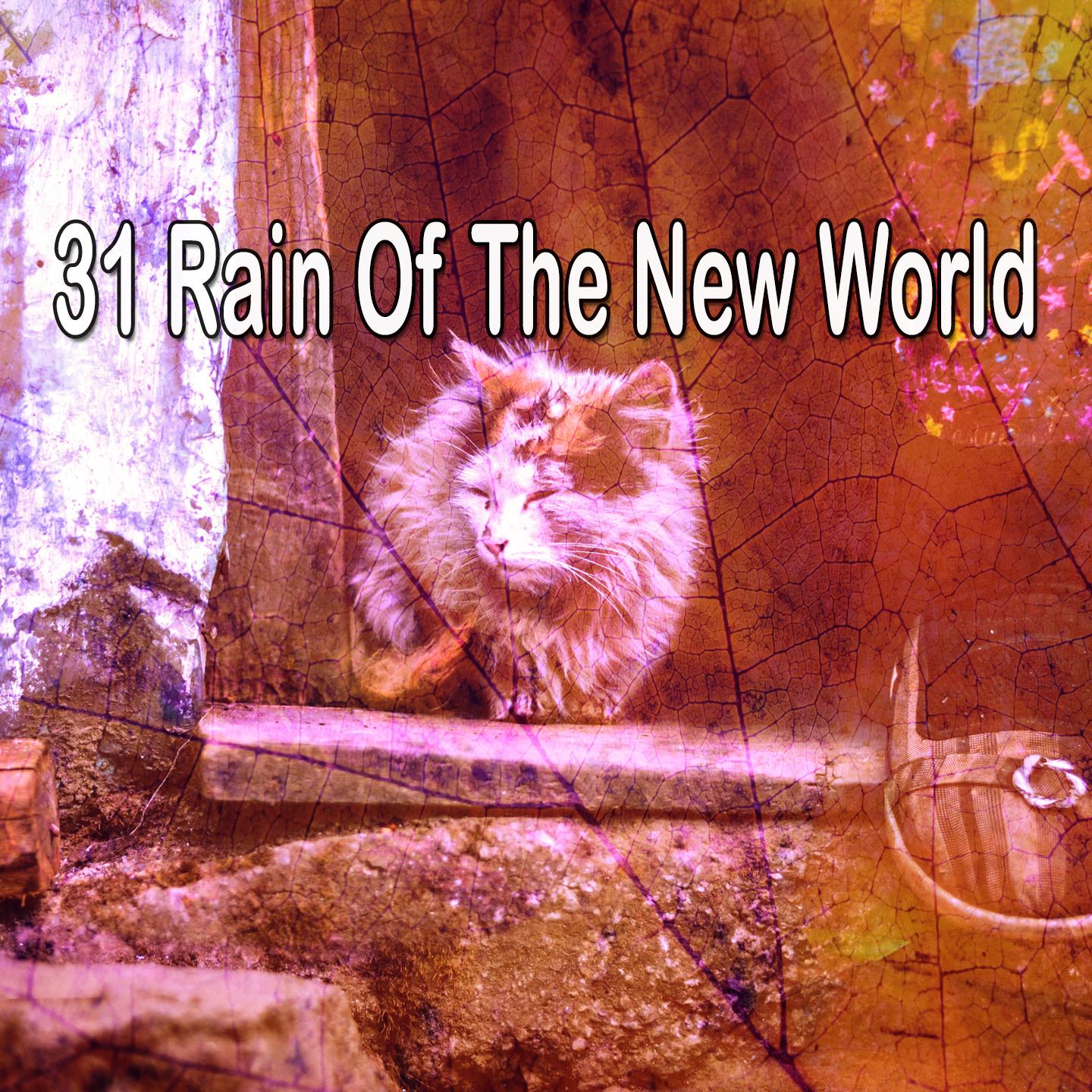 31 新世界之雨