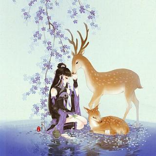 ♚网易云神翻译＆天籁之音着华裳