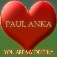You Are My Destiny - Paul Anka (unofficial Instrumental)