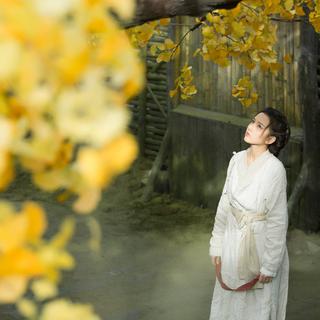 韩式空灵｜荷叶上冰凉的露珠 魔法般的声音
