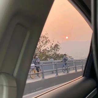 花即使不被欣赏依然长大