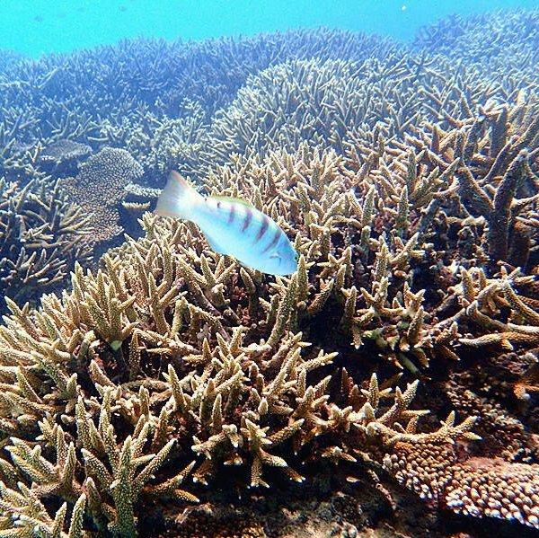 世界顶级纯音乐--经典中的不朽 | 在线播放 | 网易云音乐