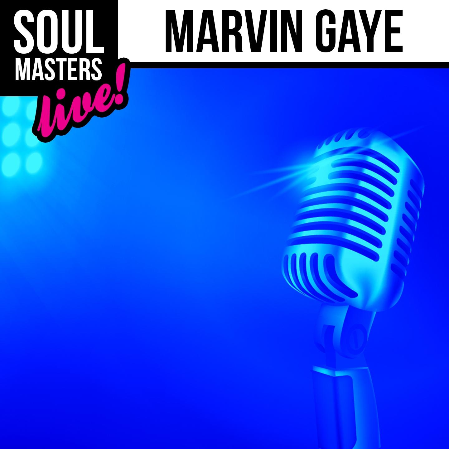 Soul Masters: Marvin Gaye专辑