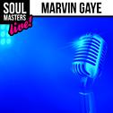 Soul Masters: Marvin Gaye专辑