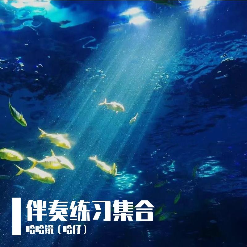 H²O - 阳光下的海