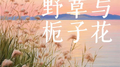 野草与栀子花专辑