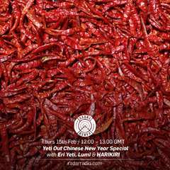 Yeti Out x Radar Radio: HARIKIRI Guest Mix