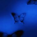 Letting Go