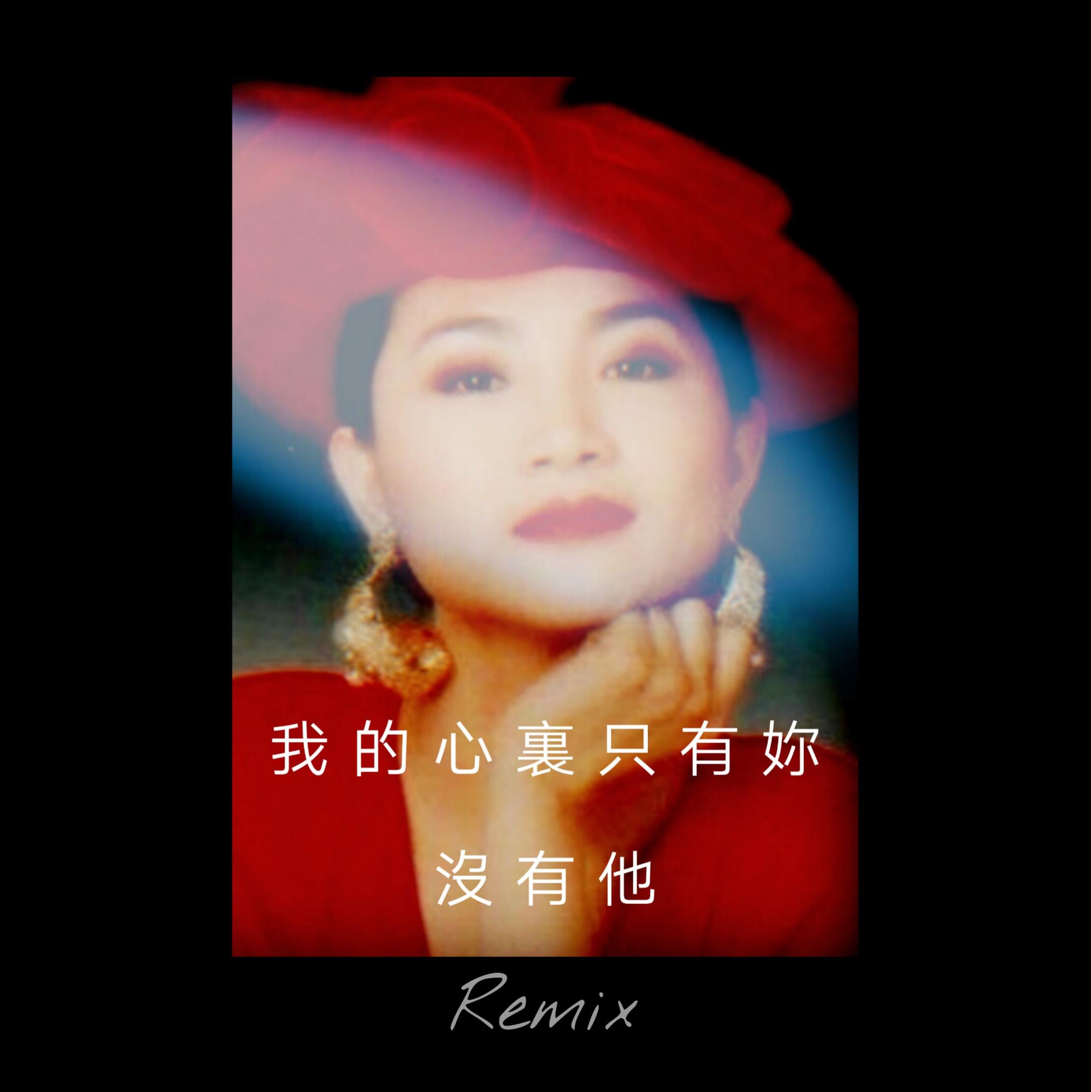 我的心里只有你没有他 【Remix】专辑