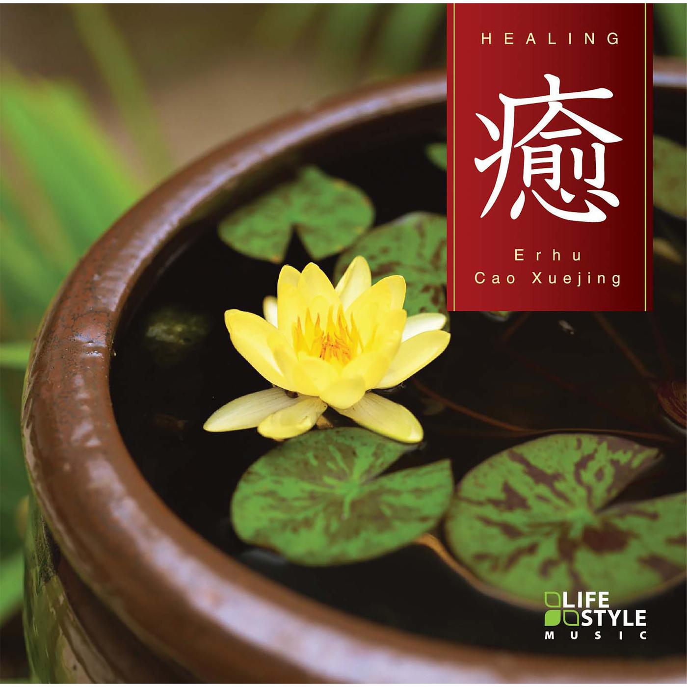 癒～二胡