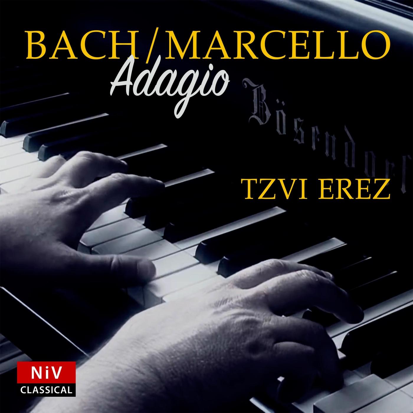 Concerto in D Minor (After Alessandro Marcello), BWV 974: II. Adagio