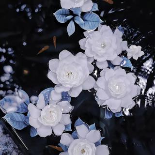 前奏不长 你愿意等吗
