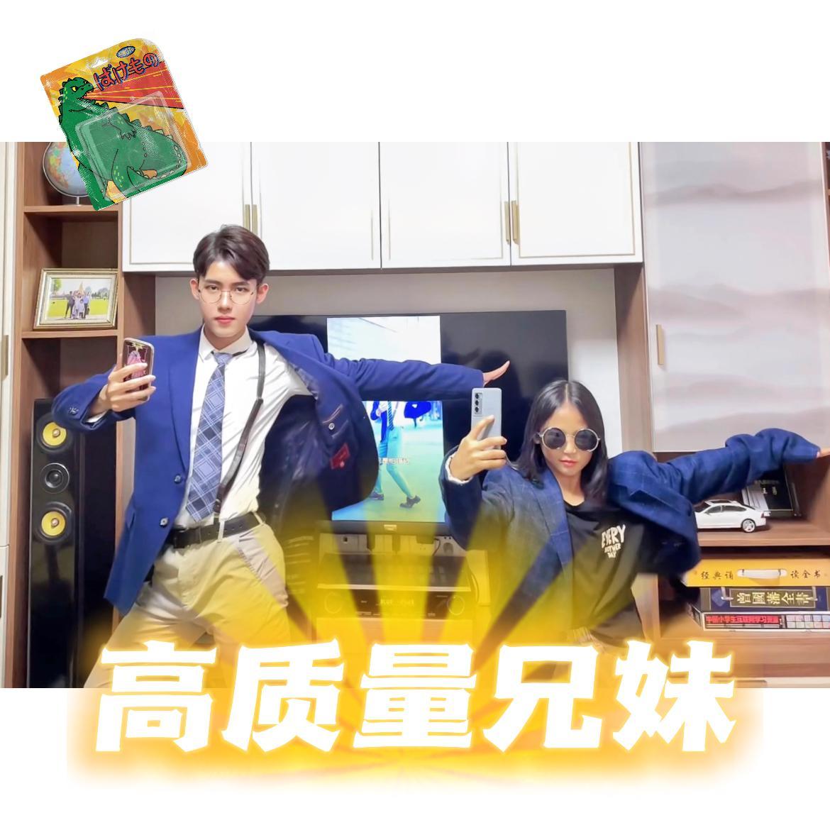 人类高质量兄妹（兄妹翻唱合集）