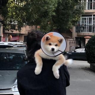 2020快手热歌合集