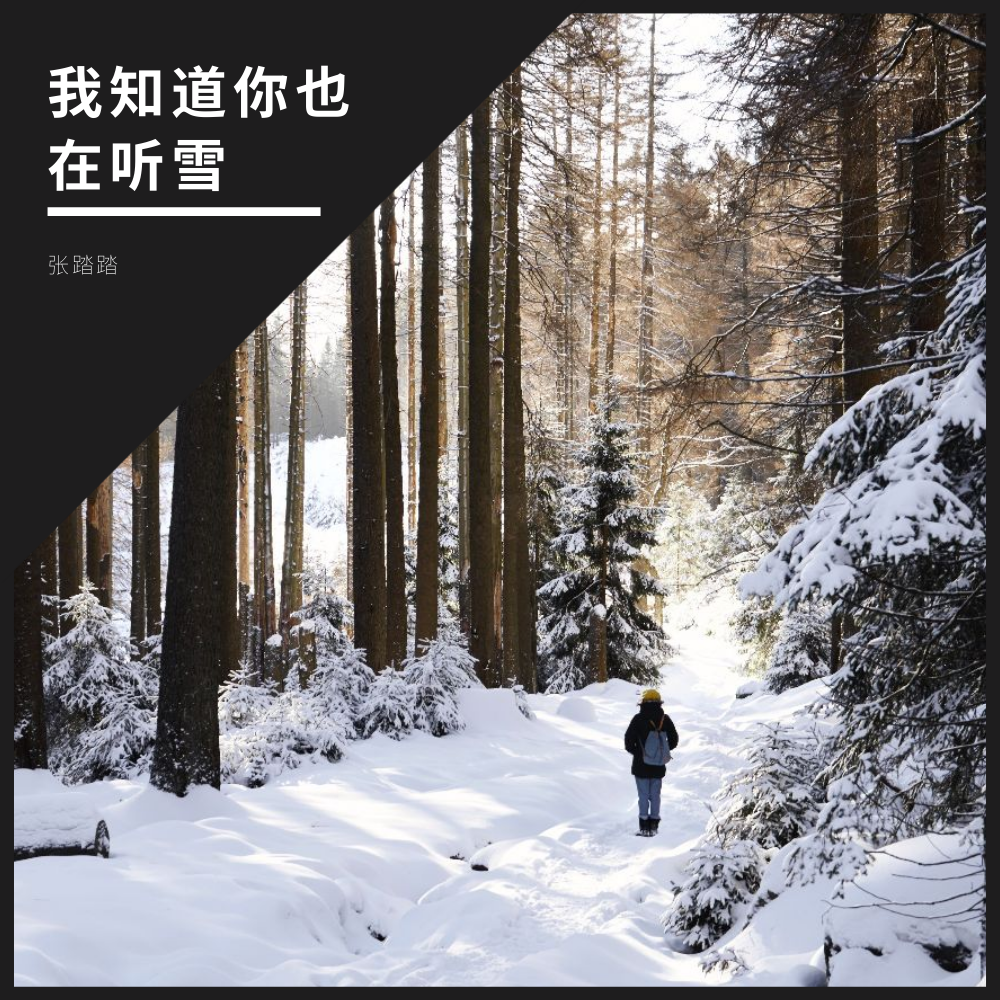 我知道你也在听雪专辑