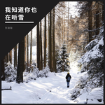 我知道你也在听雪专辑