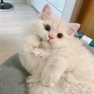 我等的人ta在哪里鸭