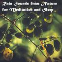 18 Rain Sounds. Nature, Meditation, Sleep专辑