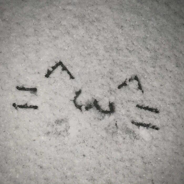 笛麒
