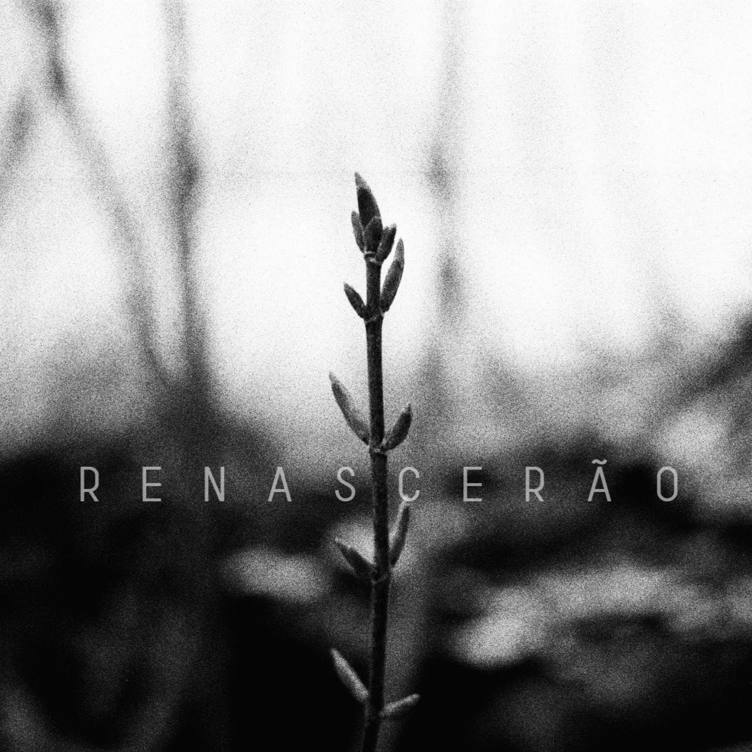 Renascerão (feat. Tânia Alves)