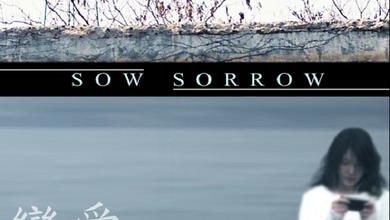 Sow Sorrow