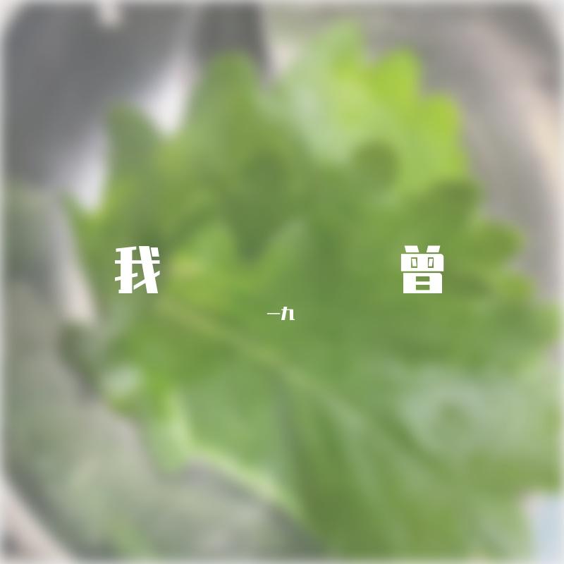 网易测试