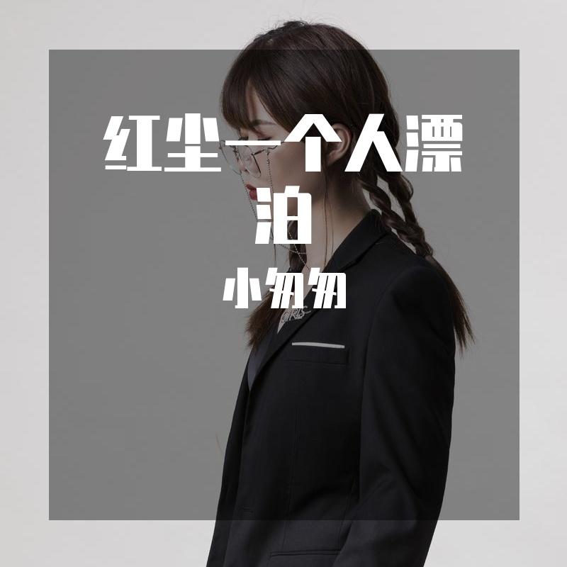 红尘一个人漂泊