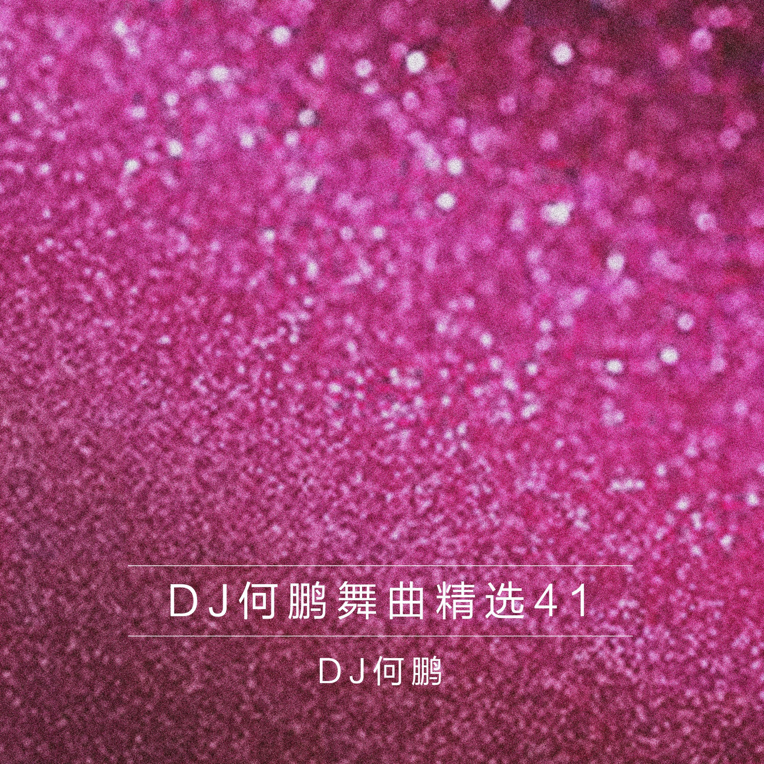 DJ何鹏舞曲精选集41专辑