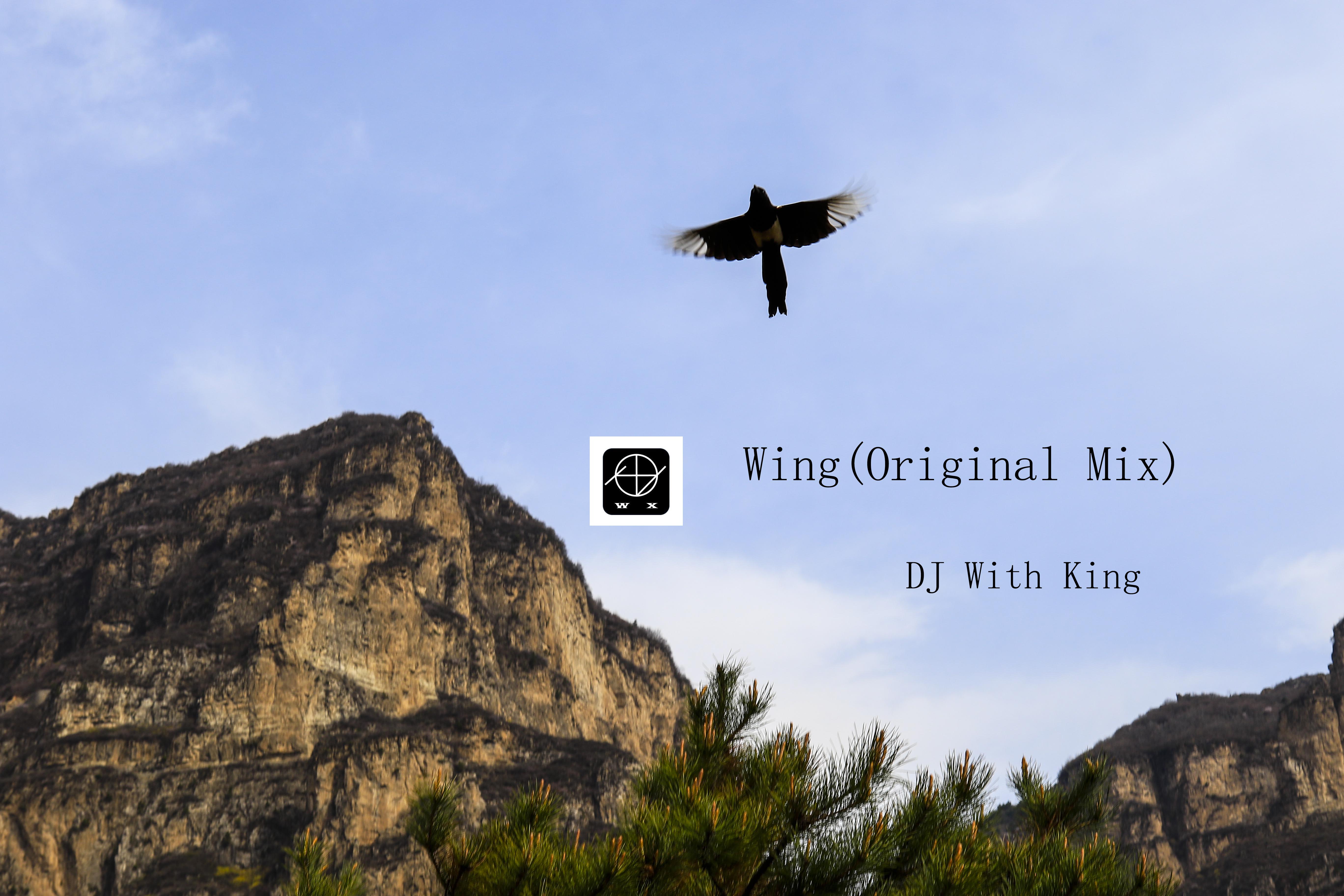 Wing（Original Mix）专辑