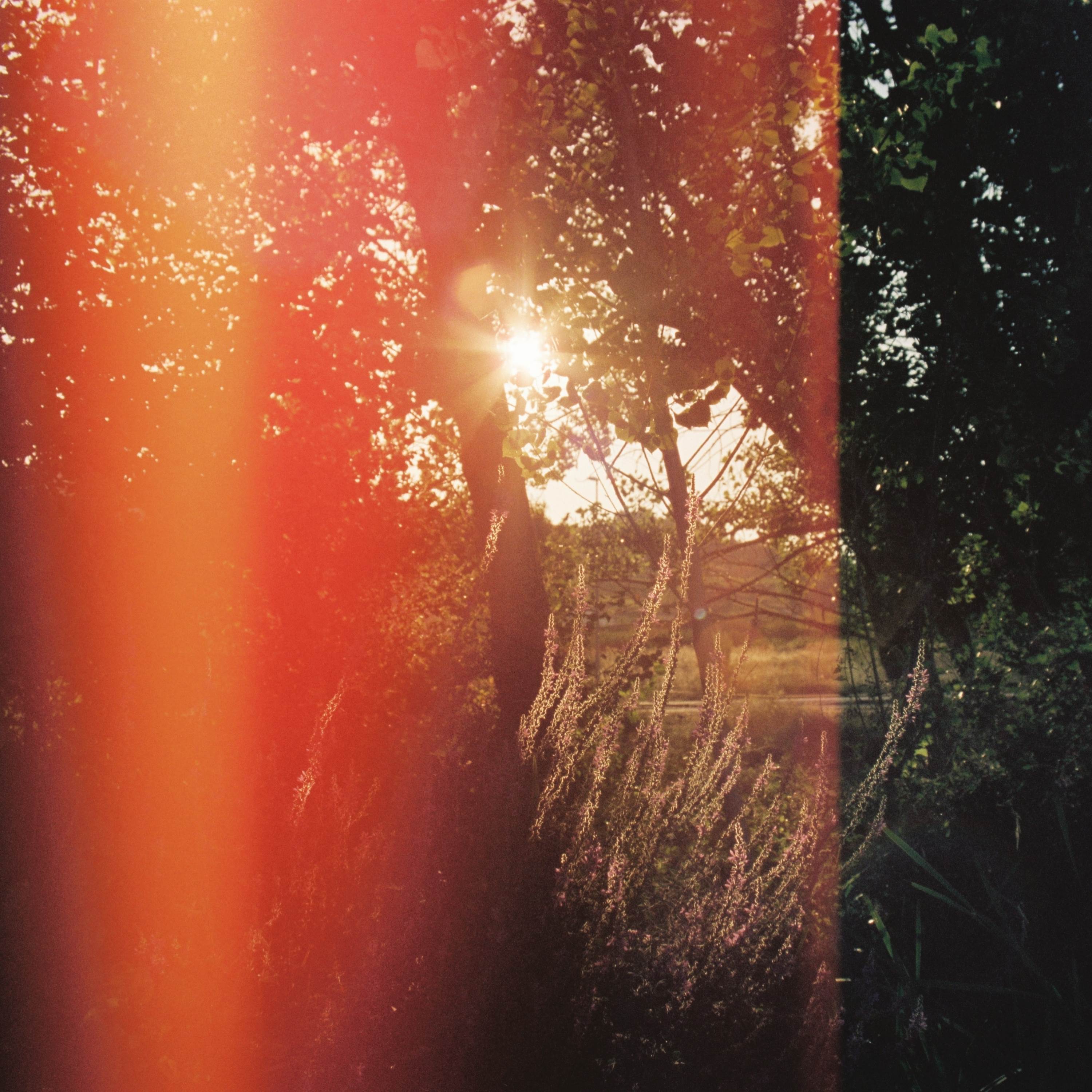 Far Apart