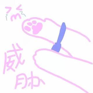 懒猪plus