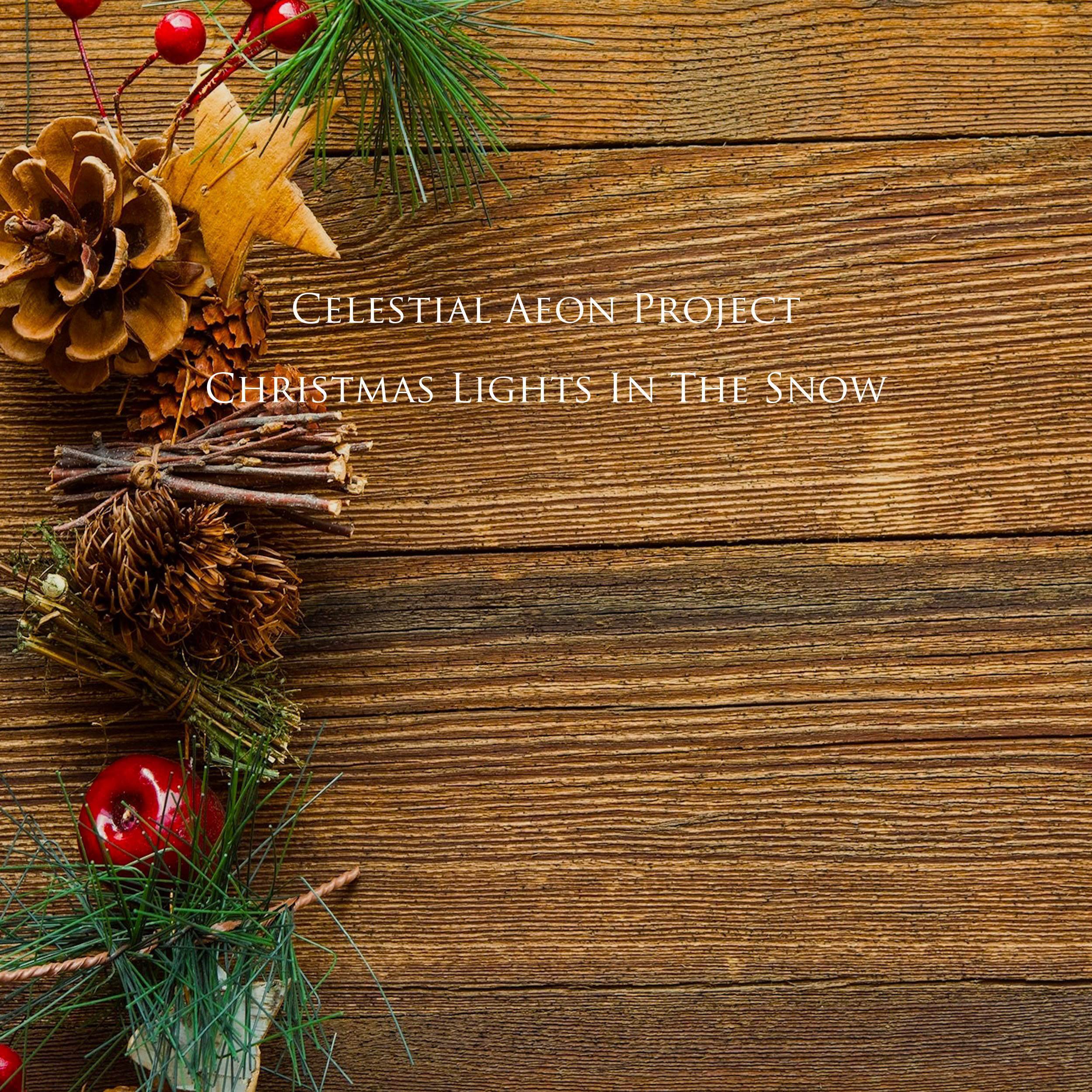 Christmas Lights In The Snow