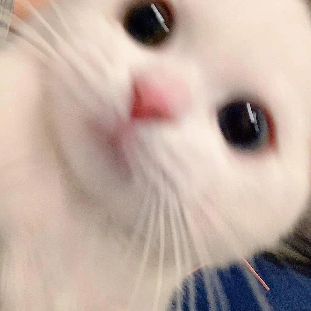 你我都是古惑仔