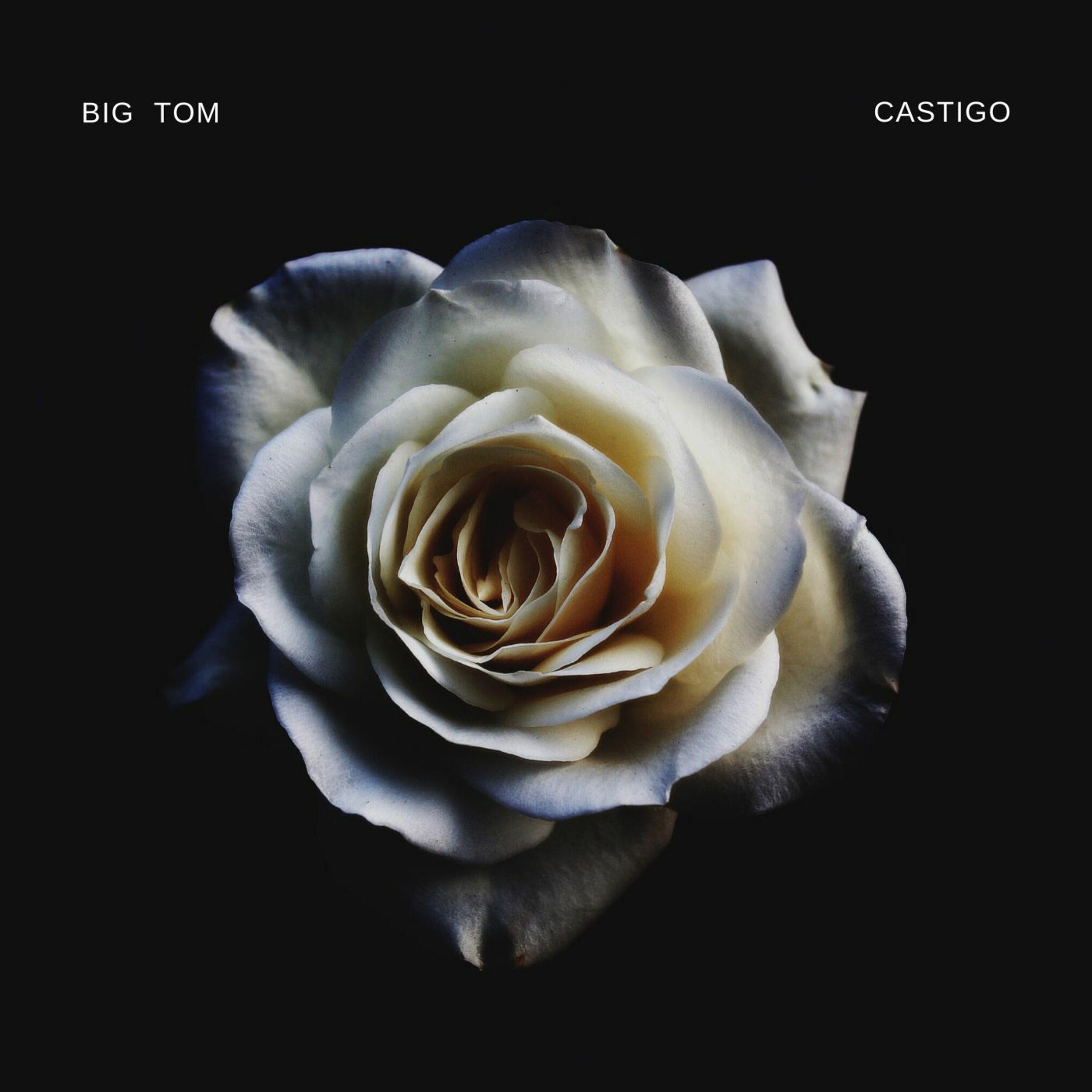 Castigo
