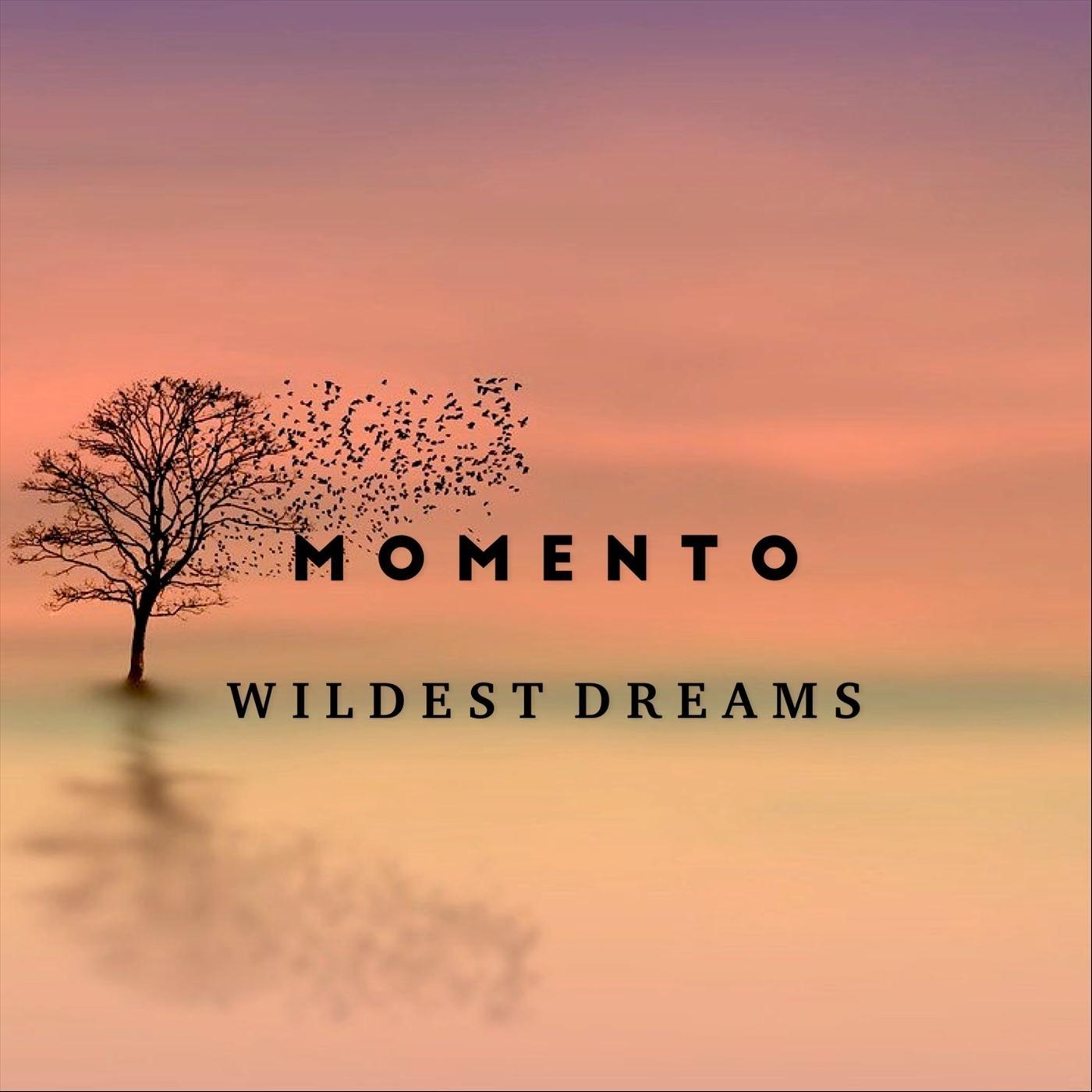 Wildest Dreams