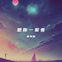 想你一整夜专辑