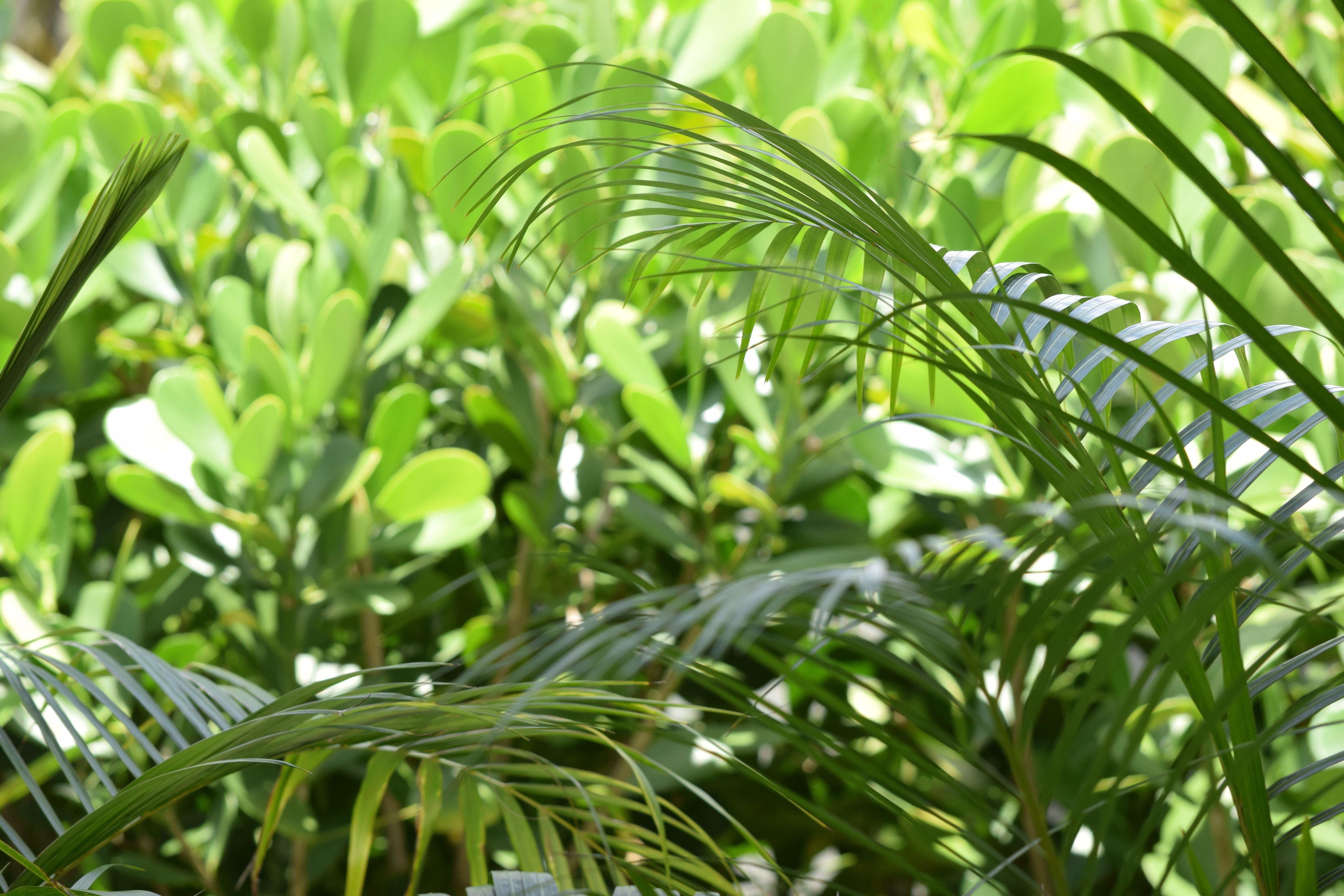 Meditation In Spring | Raise Your Vibrations