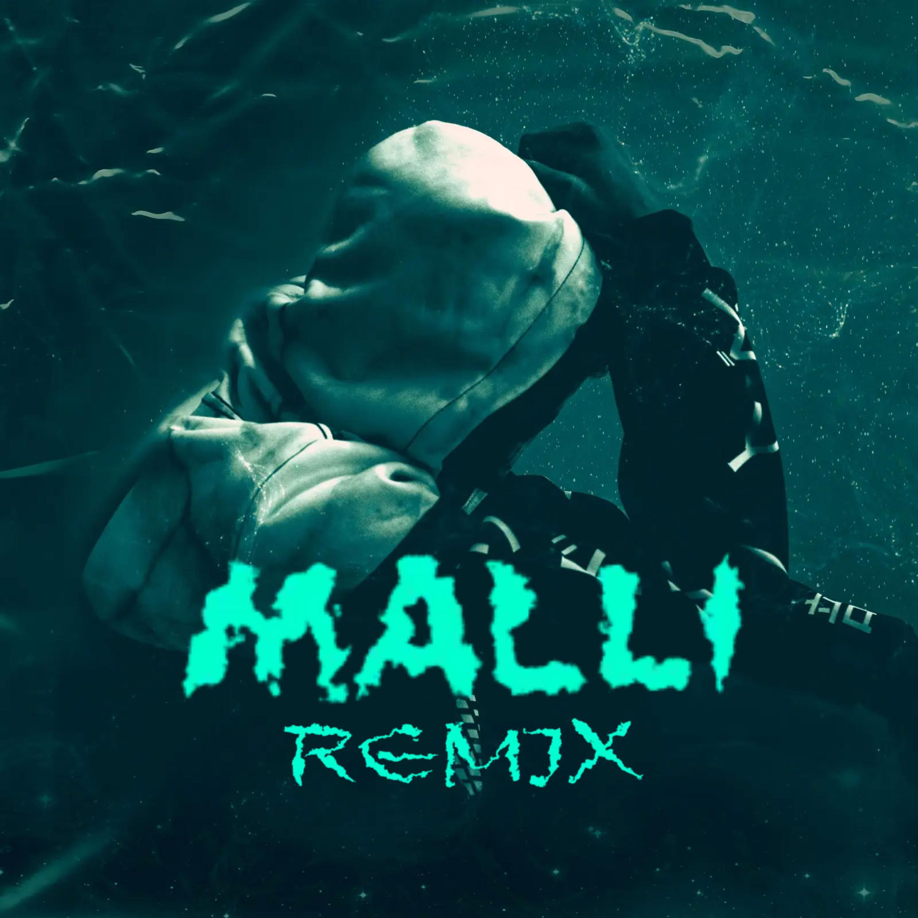 Malli (feat. Dafina Zeqiri, Elvana Gjata & BARDHI)