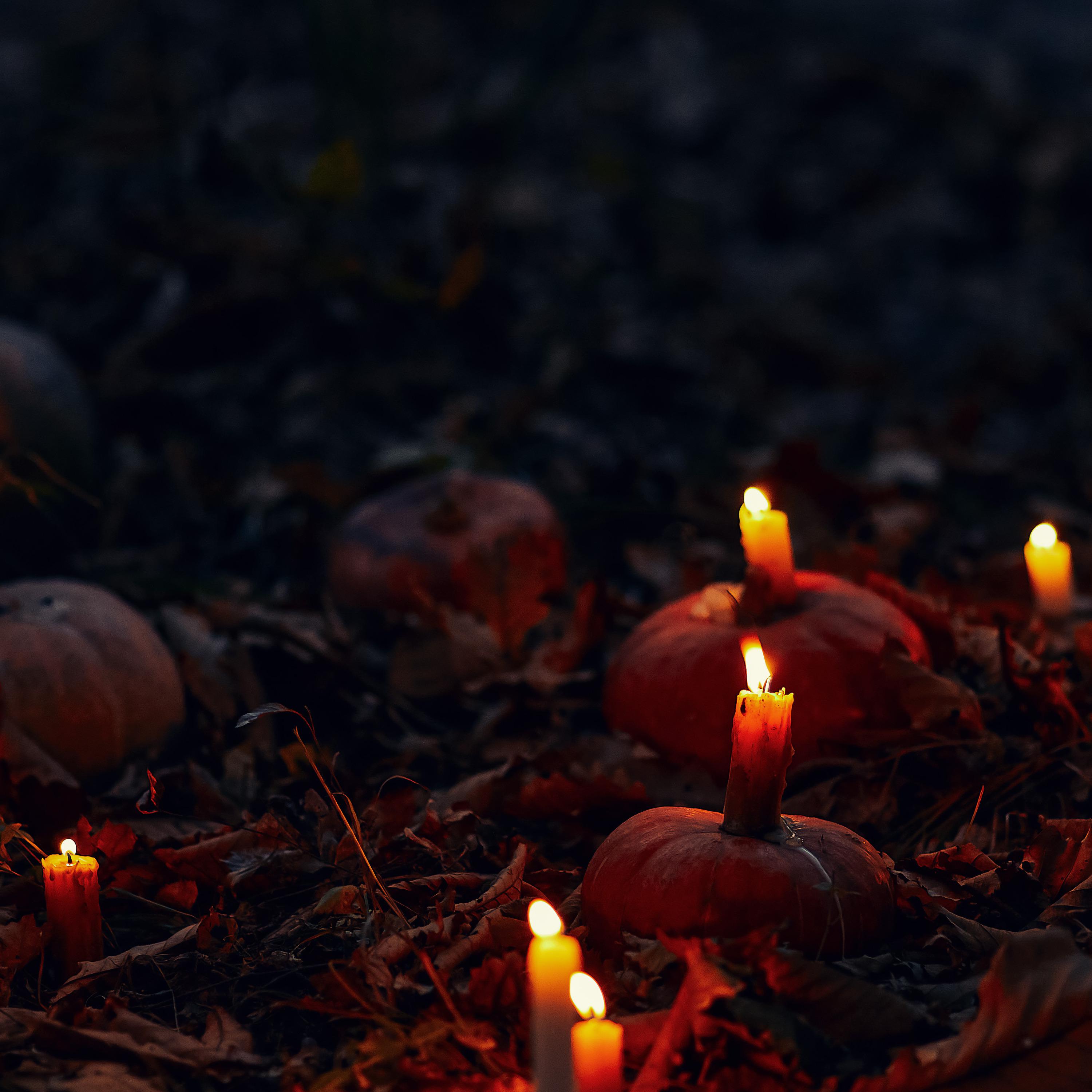 Halloween Fright
