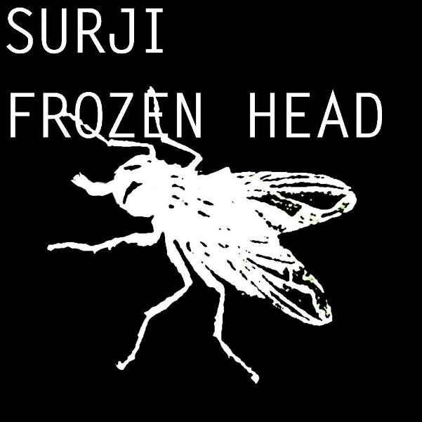Frozen Head