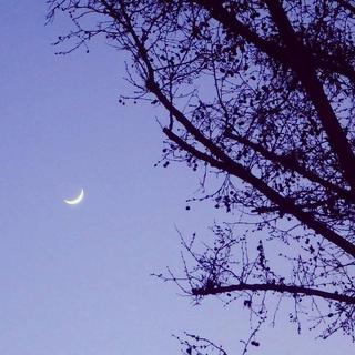 说不出我爱你, 那就道声“晚安”吧