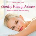 Gently Falling Asleep: Beautiful Music for Well-Being专辑