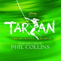 Tarzan The Broadway Musical