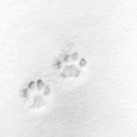 [DJ节目]听风雪周杰伦的DJ节目 第918期